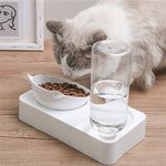 Plastic Cat Gravity Water and Food Bowls