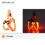 Rechargeable LED Nylon Dog Harness