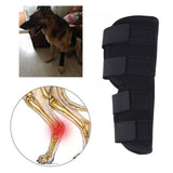 Pet Knee Pad Dog Postoperative Rehabilitation