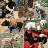 Pet Training Tactical Dog Harness