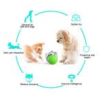 Tumbler Leaker Cat Dog Toys Puzzle