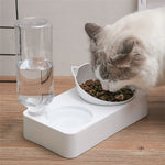 Plastic Cat Gravity Water and Food Bowls