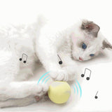 Smart Cat Toys Interactive Ball Catnip