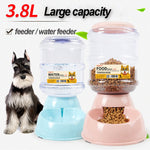 3.8L Large Automatic Pet For Feeder