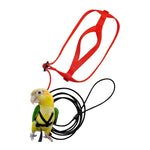 Bird Harness Leash for Conures