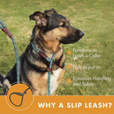 Durable Slip Lead Dog Leash Heavy Duty