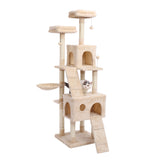 180CM Multi-Level Tree For Cats