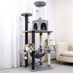 2022 New Design Luxury Large Cat Climbing