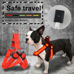 Rechargeable LED Nylon Dog Harness