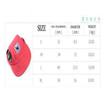 cute fashion color Hat Windproof