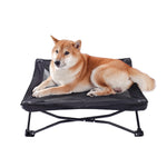 Large Elevated Folding Pet Bed