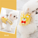 Harness Collar For Pet Spitz Vest+Leash 2 Pcs