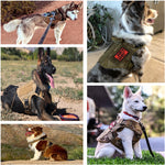 Military Big Dog Harness Pet German Shepherd