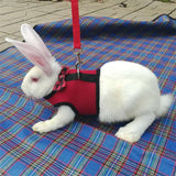 Pet Mesh Soft Harness with Leash Small