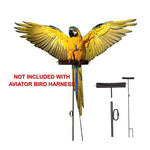 Bird Harness Leash for Conures