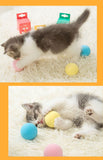 Smart Cat Toys Interactive Ball Catnip