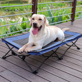 Large Elevated Folding Pet Bed