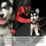 Pet Car Seat Belt  Adjustable Harness Lead Leash