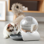 Automatic Bubble Water Dispenser for Cat