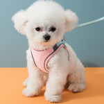 Kat Harness Leash Set Chihuahua