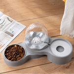 New Pet Bowl Food Automatic