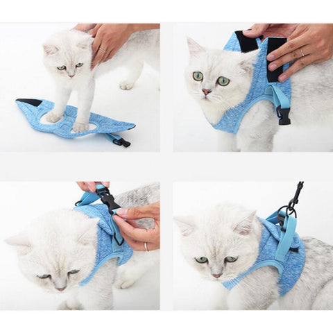 Durable Mesh Cat Harness And Leash