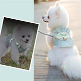 Harness Collar For Pet Spitz Vest+Leash 2 Pcs