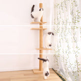 Height 238-274cm Cat Tree Condo Scratching Post