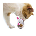 Food Leakage Tumbler Feeder Treat Ball