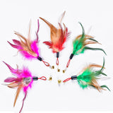 Interactive Cat Toy Funny Simulation Feather Bird