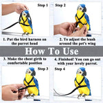 Parrot Bird Harness Leash Outdoor Flying Training Rope