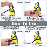 Parrot Bird Harness Leash Outdoor Flying Training Rope