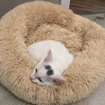 Super Soft Dog Bed Plush Cat Mat
