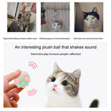 Cat  Toy Bouncy Ball