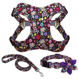 French Bulldog Harness Leash And Collar Set