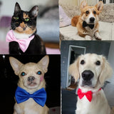 Hot Sell 1PCS Christmas Dog Bow Tie