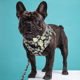 French Bulldog Harness Leash And Collar Set