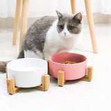 Ceramic Dog Cat pet Puppy Bowl Feeding