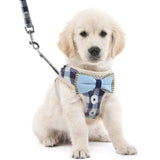 Dog Vest Harness And Leash Set