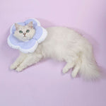 Wholesale Pet Soft E-Collar Cushioned