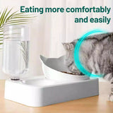 Plastic Cat Gravity Water and Food Bowls