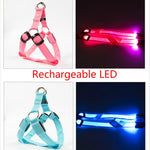 Rechargeable LED Nylon Dog Harness