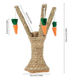 Pet Scratching Post Toy