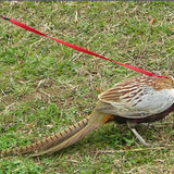 Bird Harness Leash for Conures Adjustable