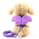 Cute Angel Pet Leashes And Collars