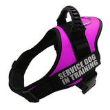 K9 Dog harness Nylon Adjustable customize