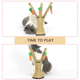 Pet Scratching Post Toy