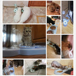 HOOPET New Pet Dogs Cats Double Bowls