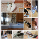 HOOPET New Pet Dogs Cats Double Bowls