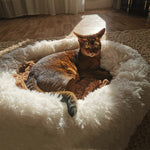Super Soft Dog Bed Plush Cat Mat